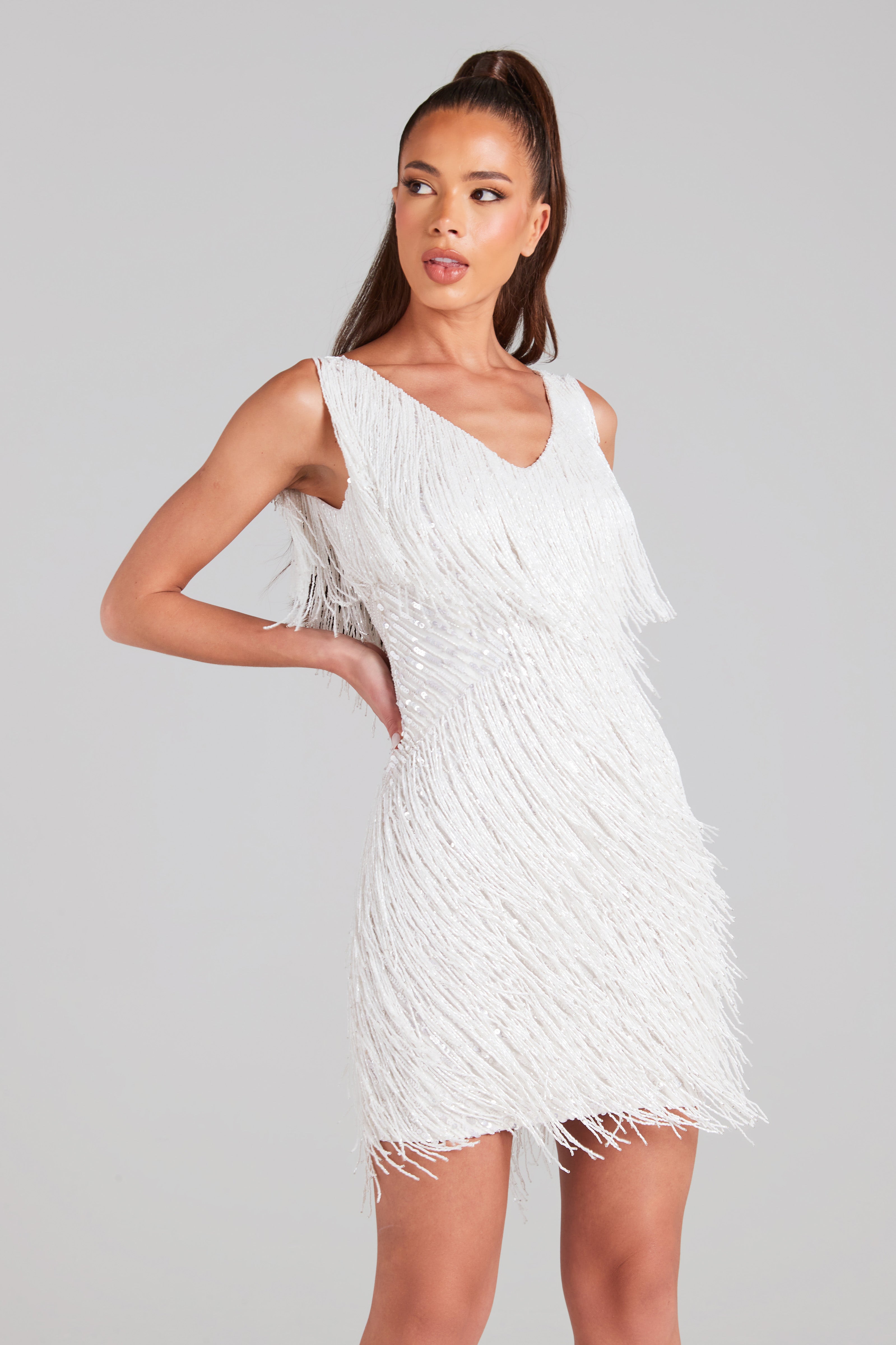 Lunessa Shimmer Fringe Dress